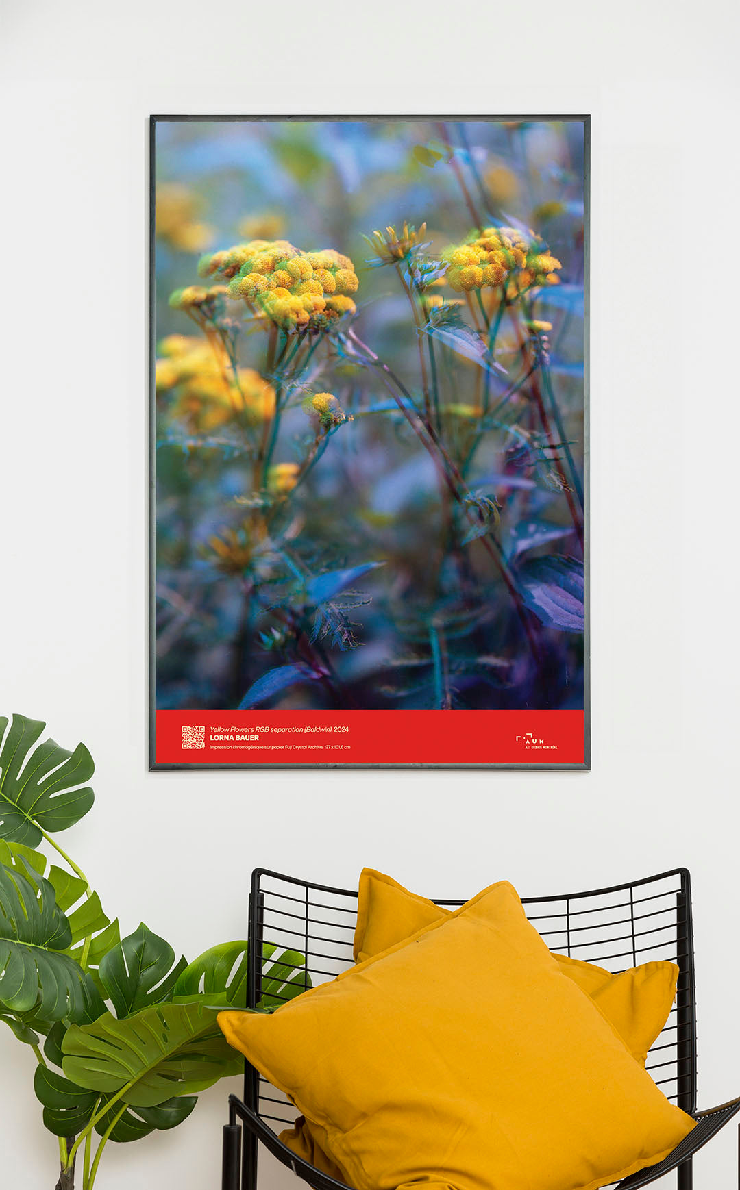 Yellow Flowers RGB separation (Baldwin)